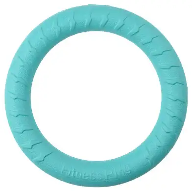 Mr.Kranch игрушка для собак Кольцо, бирюзовое