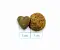 Forza10 Active VetDiet INTESTINAL сухой диетический корм для взрослых кошек при заболеваниях желудочно-кишечного тракта #3